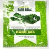hat-giong-cai-xoan-cai-kale-rado-686