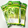 hat-giong-rau-mam-tn20
