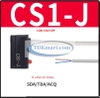 cam-bien-tu-xi-lanh-khi-nen-cs1-j