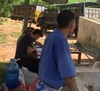 Hình ảnh giao heo thịt siêu nạc cho khách hàng