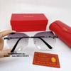 Mắt Kính Cartier Nữ Vuông Xám Gọng Hoa Thị Cao Cấp Full Box