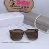 Mắt Kính Thời Trang Nữ - Kính Dior Nữ Màu Trà Tròng Polarized Cao Cấp 9915