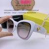 Mắt Kính Thời Trang Nữ -  Kính Fendi Nữ Mắt Mèo Khói Gọng Trắng Cao Cấp Mã 2371