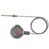 direct-or-remote-mount-explosion-proof-temperature-switch