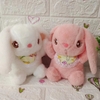Gấu bông size 8' ( 22-25cm)