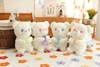 Gấu bông size 8' ( 22-25cm)