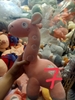 Gấu đồng giá size 10' ( 30-40cm)