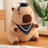 Capybara tốt nghiệp 35cm