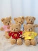 Gấu áo khoác thêu gấu 30cm