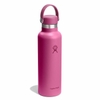 Bình giữ nhiệt Hydro Flask Standard Flex Cap 21 OZ 621 ml – S21CSX