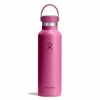 Bình giữ nhiệt Hydro Flask Standard Flex Cap 21 OZ 621 ml – S21CSX