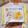 Bánh pía kim sa đậu xanh Tân Huê Viên-480gr