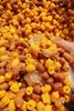 Nui sấy mix đậu phộng trứng muối-350g