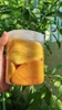 Xoài sấy dẻo loại 1-250gr