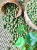 Đậu hà lan sấy giòn- 250gr-500gr