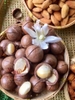 Hạt Macca vỏ-300g-500g