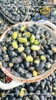Đậu đen xanh lòng sấy giòn-250g