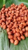 Đậu phộng tỏi ớt-300gr-500gr