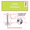 Chân đế mạ 50x8M8x30