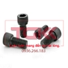 Bu lông lục giác chìm-M27x250