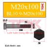 Bu lông chịu lực 10.9-M20x100 RL