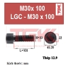Bu lông lục giác chìm-M30x100