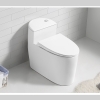 Bồn Cầu 1 Khối R3316