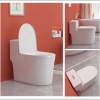 Bồn Cầu Teady LK138