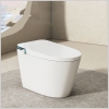 Bồn Cầu Thông Minh R41