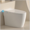 Bồn Cầu Thông Minh R42W