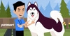 Giống chó Alaskan Malamute: khổng lồ liệu giá có rẻ?