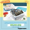 BỘ HỘP TRỮ ĐÔNG FREEZERMATE GEN II 5.7L (2)
