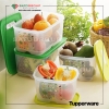 Bộ Trữ Mát Ventsmart Có Nút Hô Hấp 4 hộp