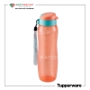 Bình nước Eco Bottle Gen 2 750ml