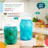 Bộ Hộp BQTP Universal Jar