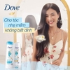 Dầu Gội Dove Dưỡng Tóc Bồng Bềnh 640g