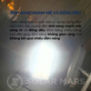 den-pha-nlmt-mat-loi-co-rada-cam-bien-sieu-sang-chip-5054-1000w