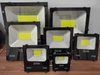 den-pha-100w-cob