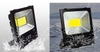den-pha-100w-cob
