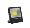 den-pha-100w-cob