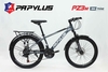 Xe đạp địa hình PAPYLUS PZ3 New