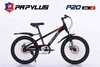 XE ĐẠP ĐỊA HÌNH PAPYLUS P20