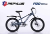 XE ĐẠP ĐỊA HÌNH PAPYLUS P20