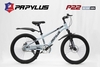 XE ĐẠP ĐỊA HÌNH PAPYLUS P22