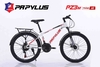 Xe đạp địa hình PAPYLUS PZ3 New