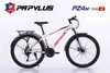 Xe đạp địa hình PAPYLUS PZ4 New