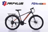 Xe đạp địa hình PAPYLUS PZ4 New