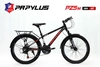 Xe đạp địa hình PAPYLUS PZ5 New