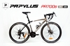 Xe đạp đua PAPYLUS PR700s
