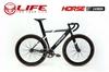 Xe đạp Fixed Gear LIFE HORSE Sơn Carbon